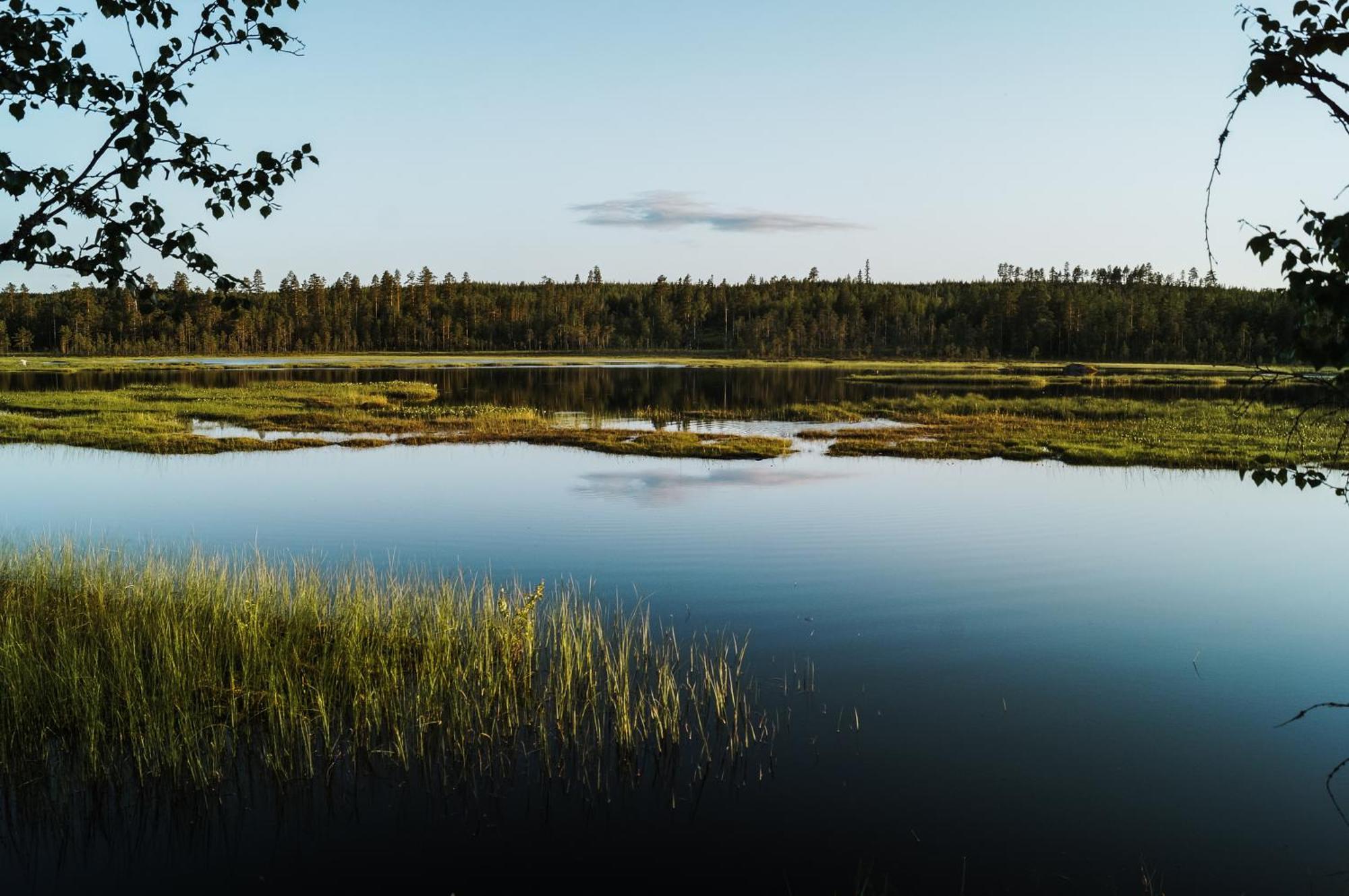 Vikinggard Cottages Holjes Esterno foto