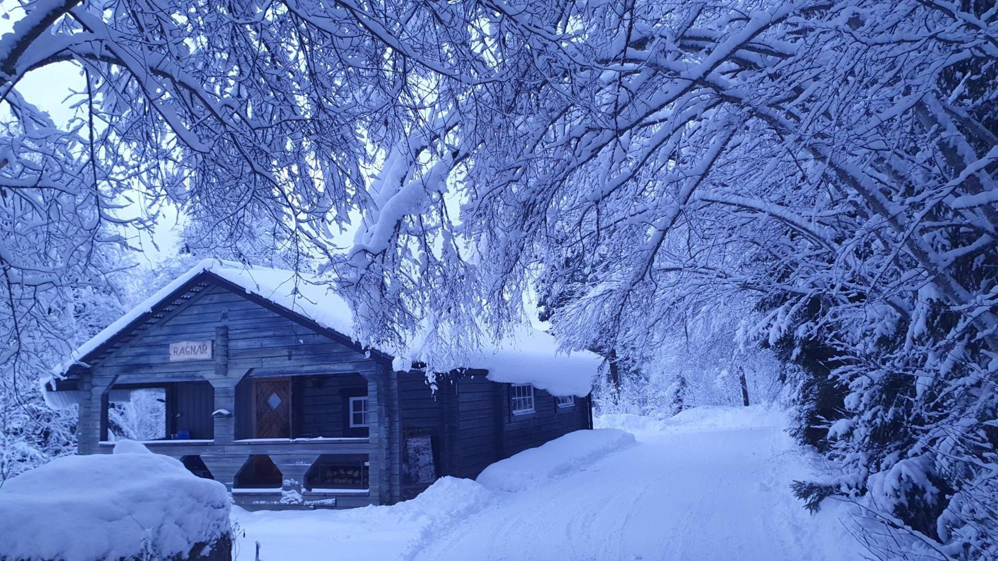 Vikinggard Cottages Holjes Esterno foto