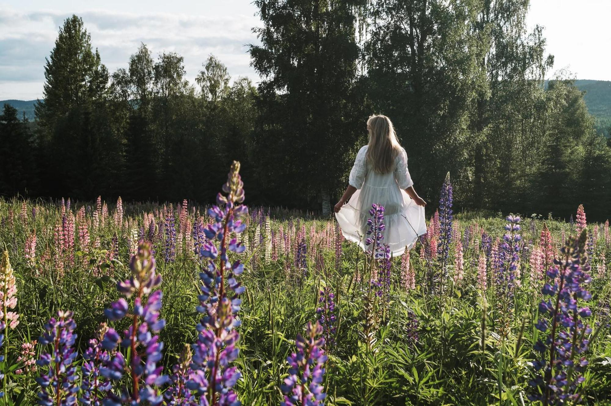 Vikinggard Cottages Holjes Esterno foto