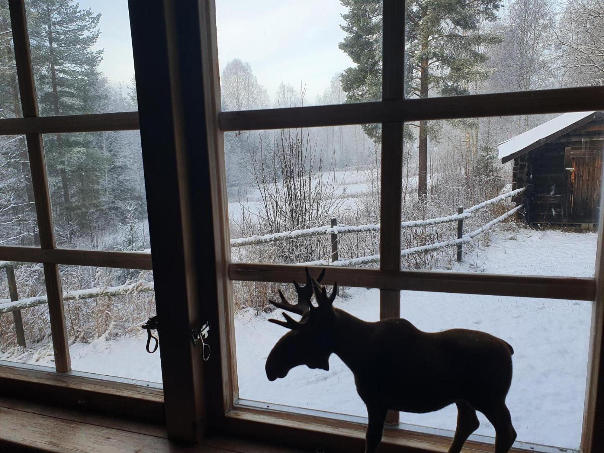 Vikinggard Cottages Holjes Esterno foto