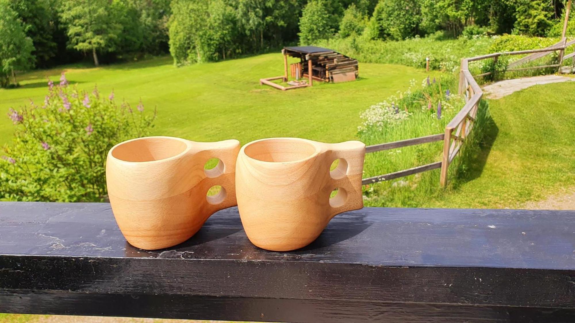 Vikinggard Cottages Holjes Esterno foto