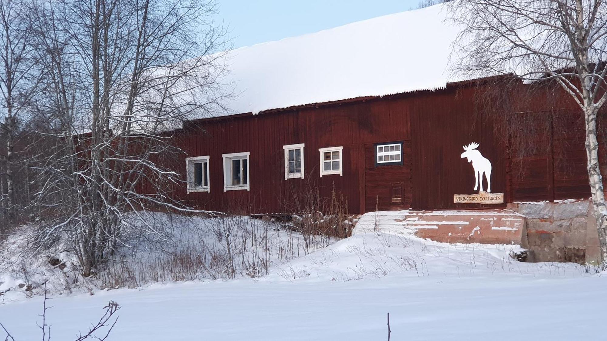 Vikinggard Cottages Holjes Esterno foto