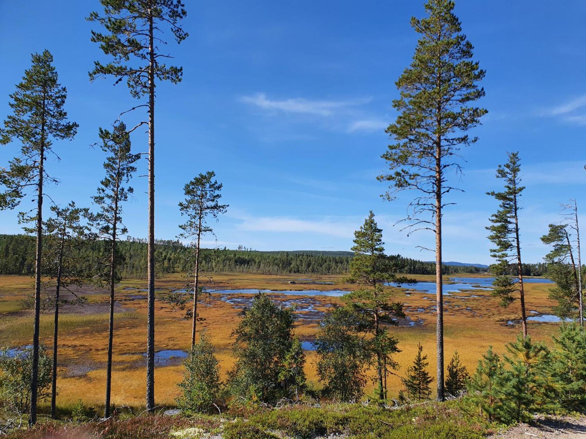 Vikinggard Cottages Holjes Esterno foto